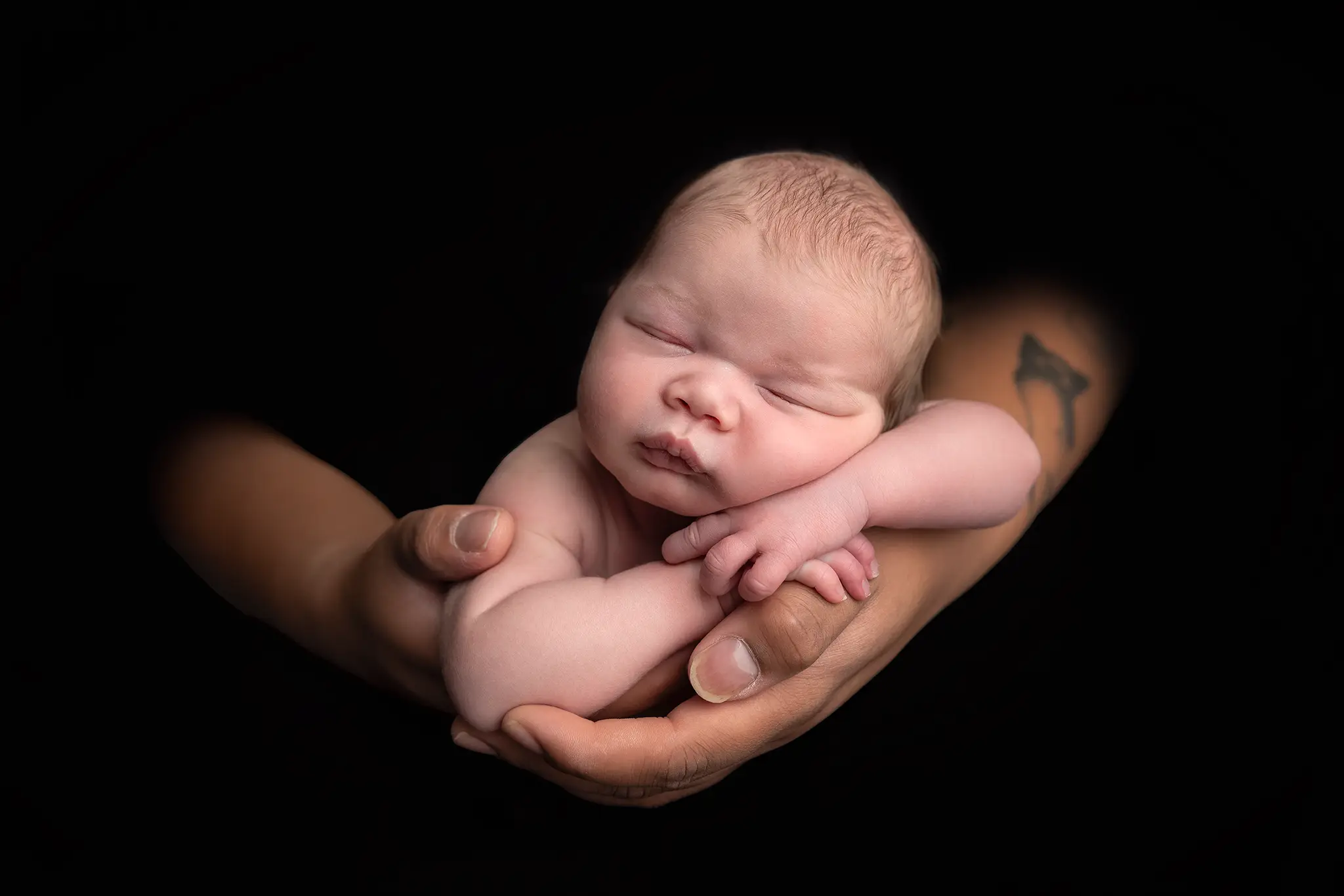 Nyfödd bebis sover hopkurad i vuxna händer mot helt svart bakgrund – nyföddfotografering i Lund.